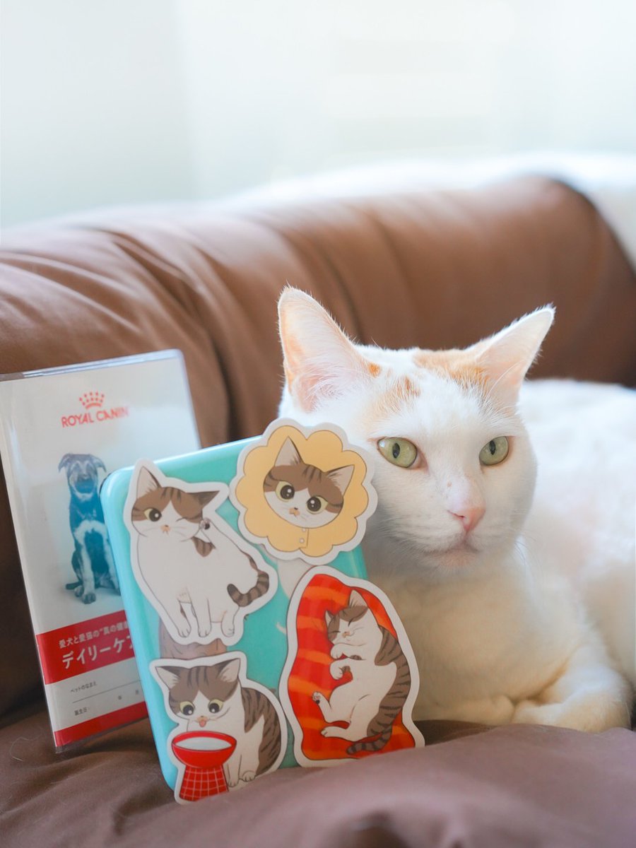 ロイヤルカナン (@RoyalCaninJP) / Posts / X