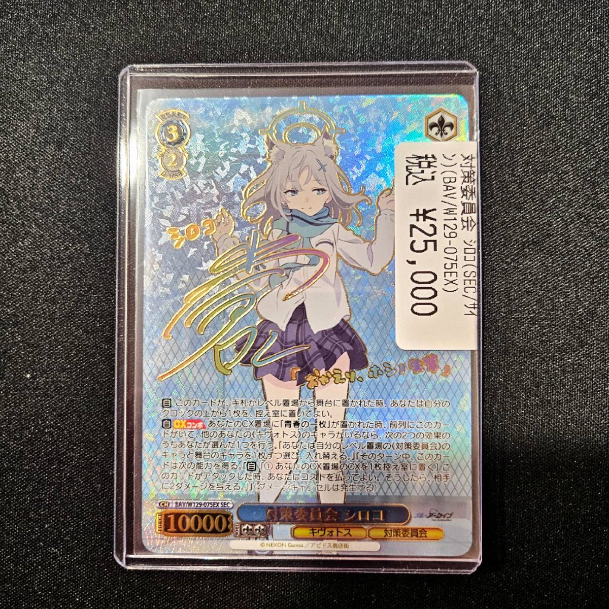 ヴァイスシュヴァルツ 🐺対策委員会 シロコ☁️（SEC/ｻｲﾝ