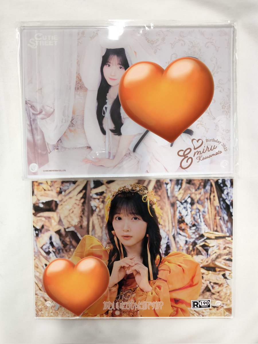 増田彩乃 直筆サイン入りアクリルフォトパネル 増田彩乃 生誕すきくじ