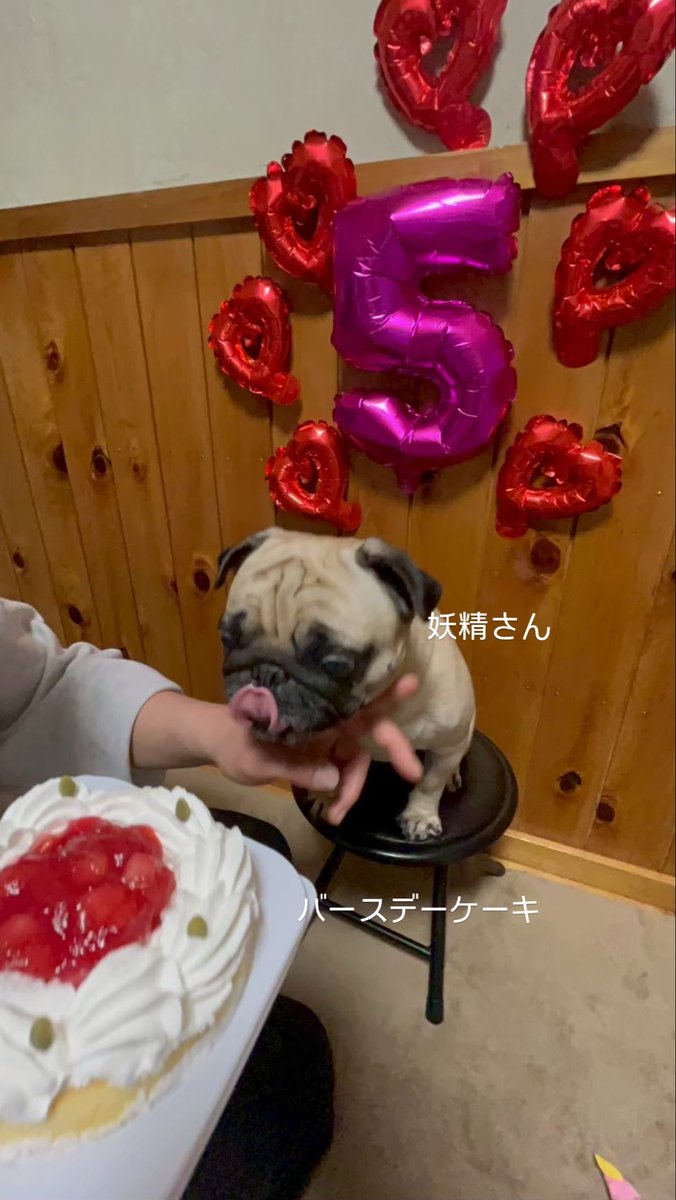 うめちゃん日記 (@Umechanpag) / Posts / X