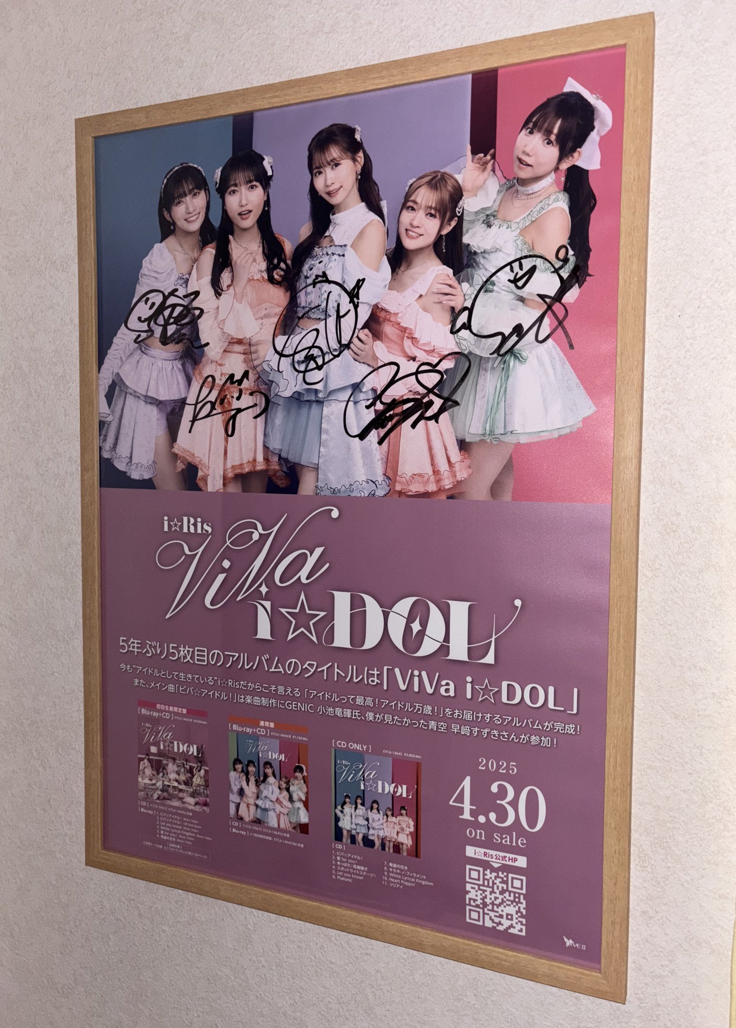 レア！Syndrome&DディーB2直筆サイン入りポスターなど【大量】 V系