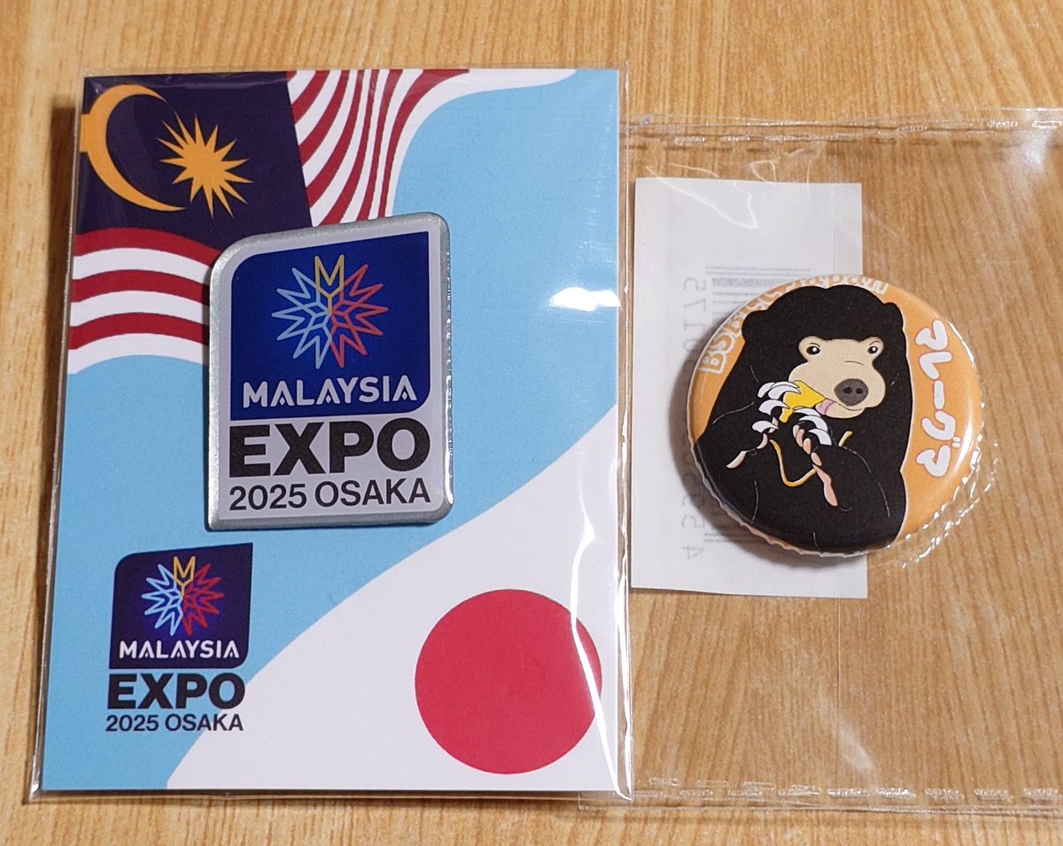 入館したパビリオン 「マレーシア」🇲🇾 （7/9 12:20頃、10分待ち