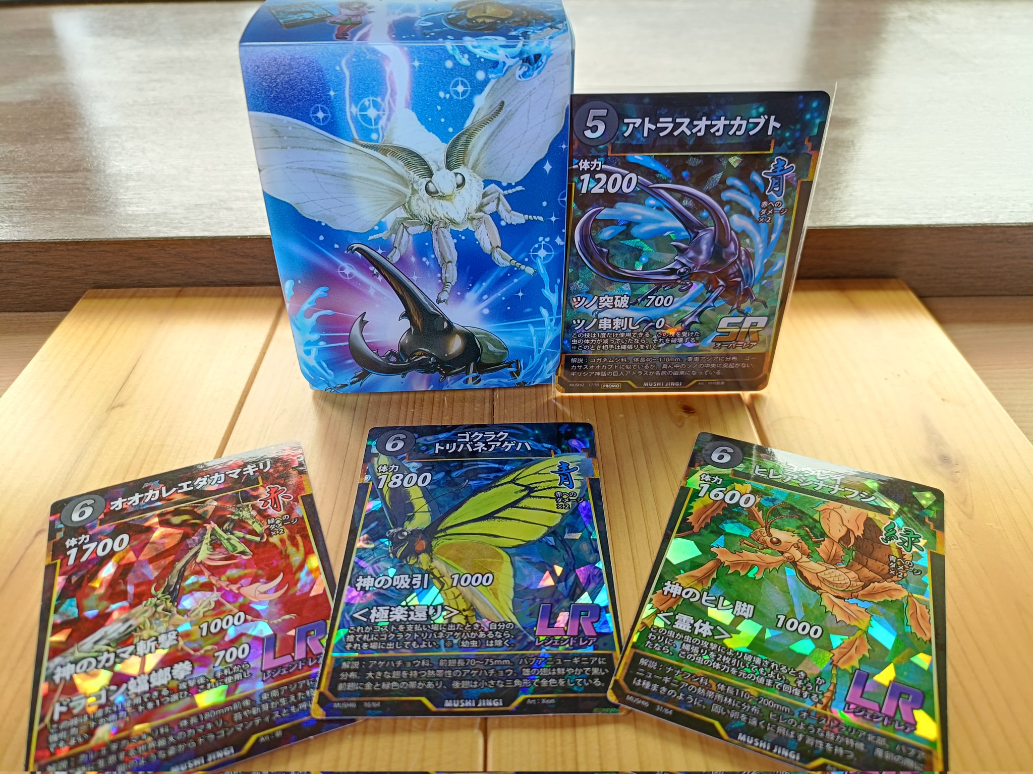 蟲神器 デッキケース カードファイル 計24点セット モーリー