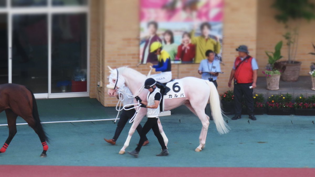 油絵 ゆ(o^^o)☆確認 ベストフレンド馬と犬 油絵 ゆ(o^^o)☆確認
