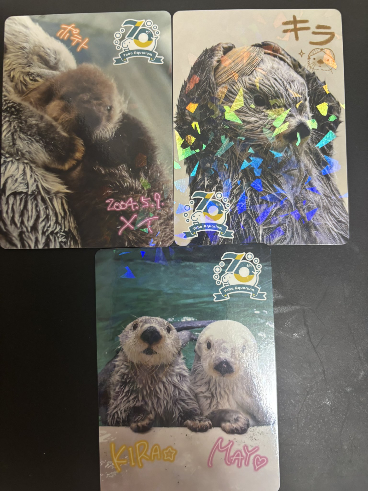 鳥羽水族館 コレクションカード メイ（レアカード） ラッコ 赤ちゃん
