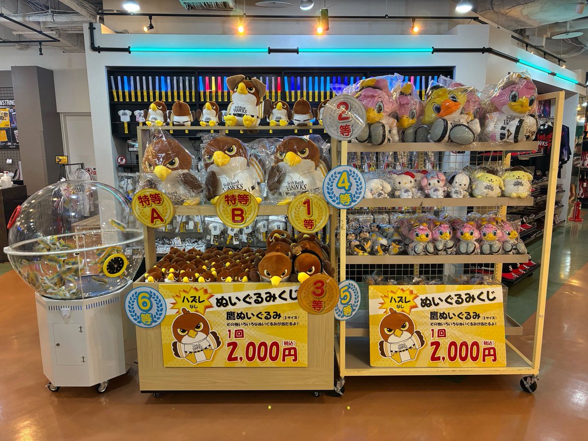 Gy8PnFwboAMmeXh.jpg?format=jpg