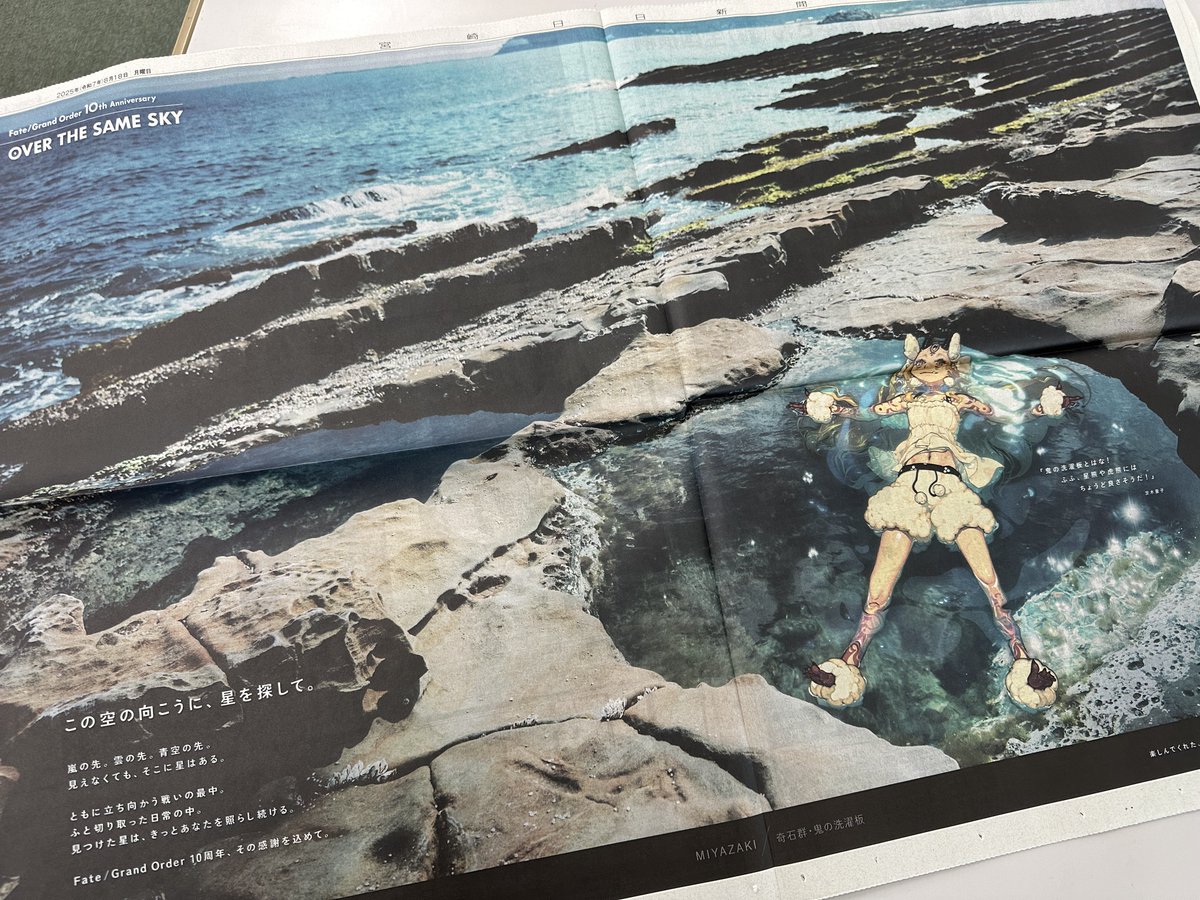 手*藤様 OVER THE SAME SKY 全95紙面 FGO 新聞 コンプリ Amazon.co.