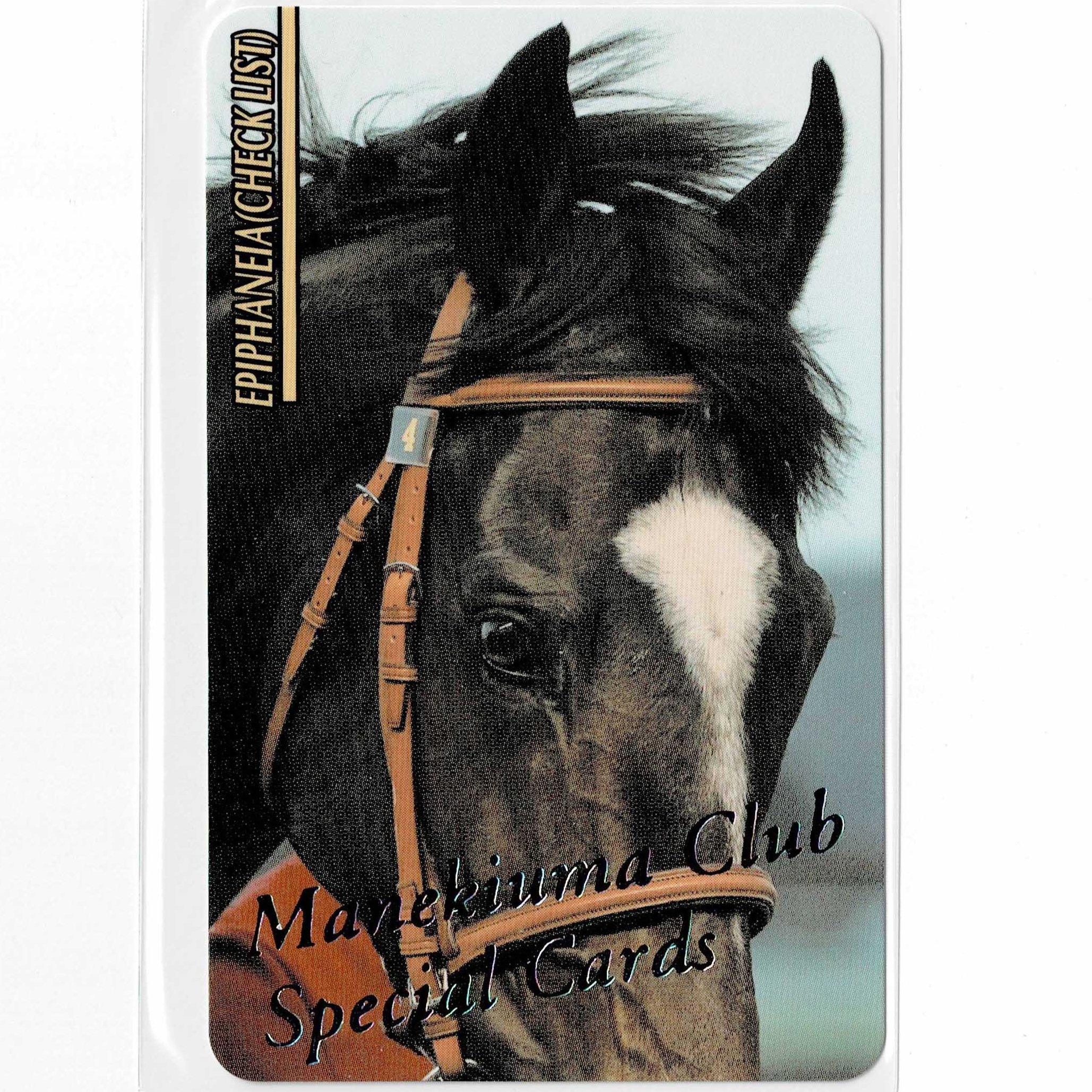 ポ*コ様 まねき馬倶楽部ウイニングチケットNo．091レインボーカード