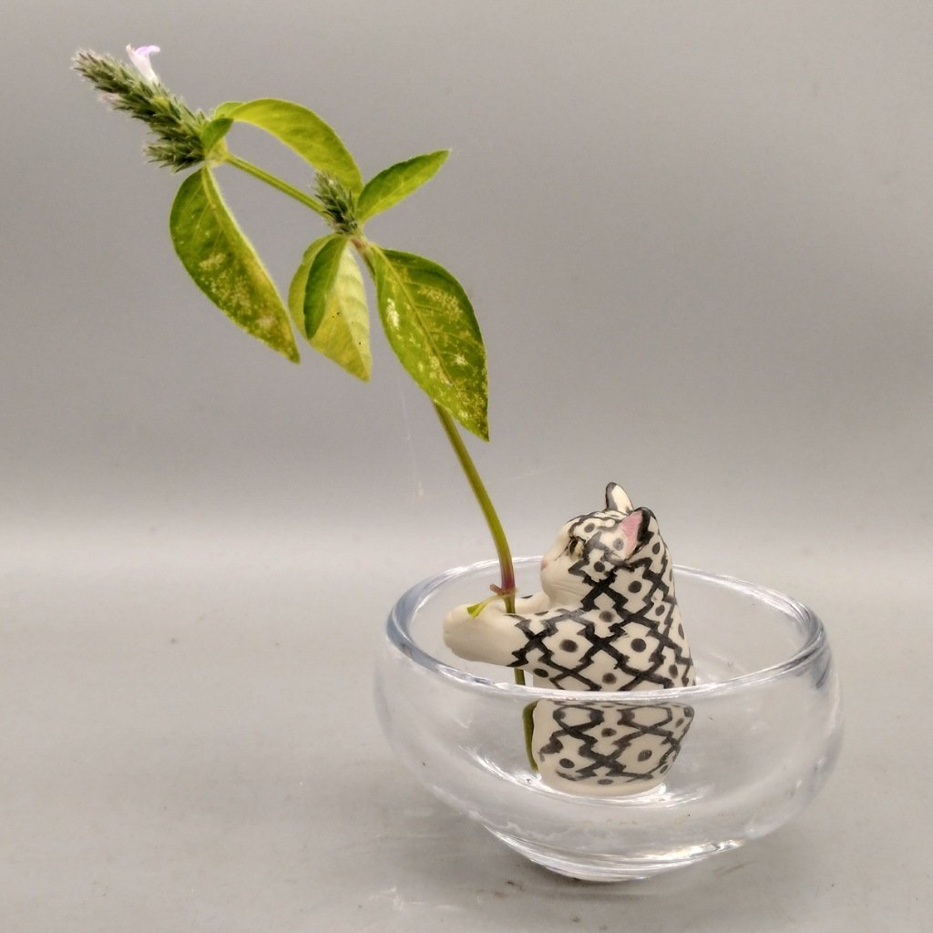 Oono-Artifact オオノアーティファクト 陶磁器 Oono-Artifact オオノ