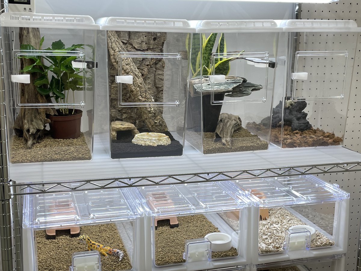 新発売情報／ 「レプティギア・ハイ 300」 立体活動をする爬虫類