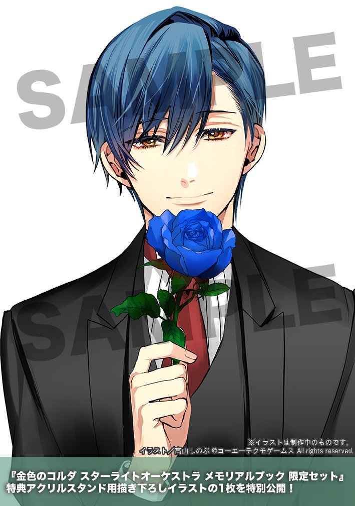 金色のコルダ スターライトオーケストラ メモリアルブック 限定セット