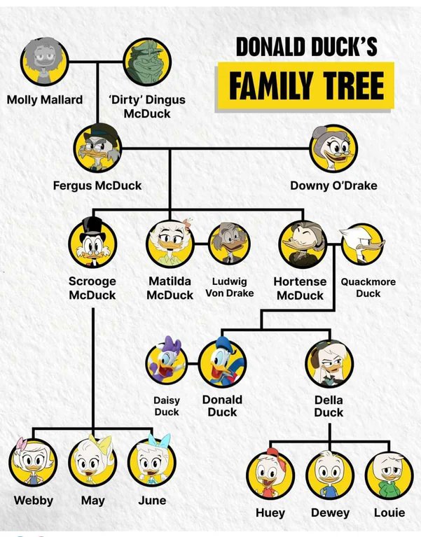 Have you ever wondered what is the real Donald Duck's family tree?