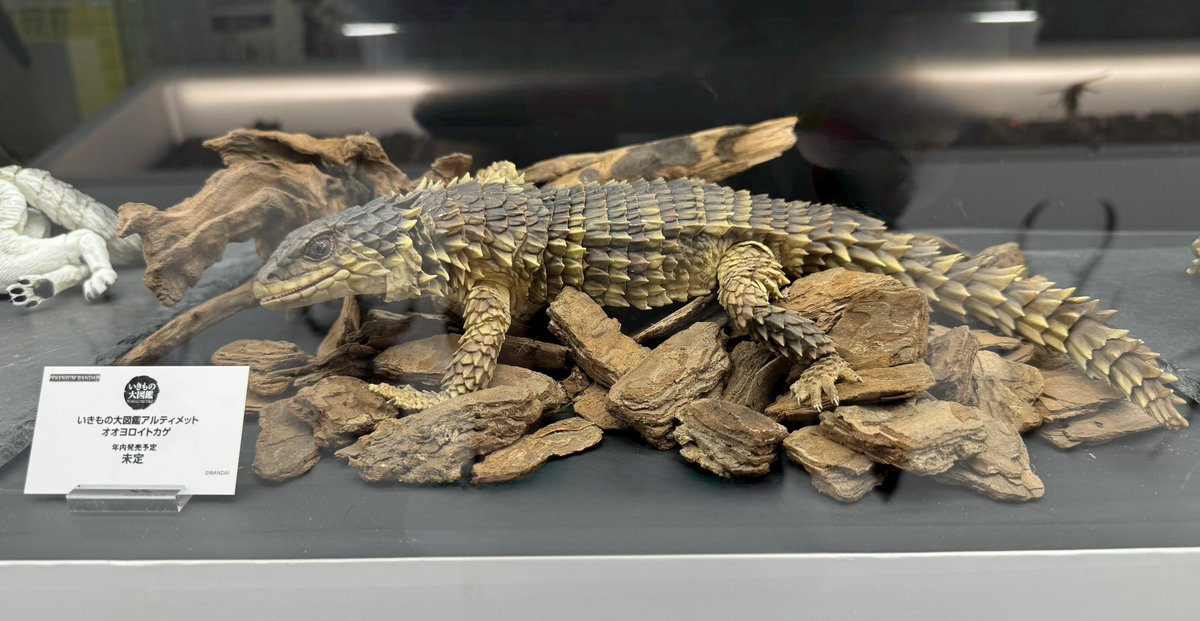 いきもの大図鑑アルティメット オオヨロイトカゲ 新品未開封 いきもの