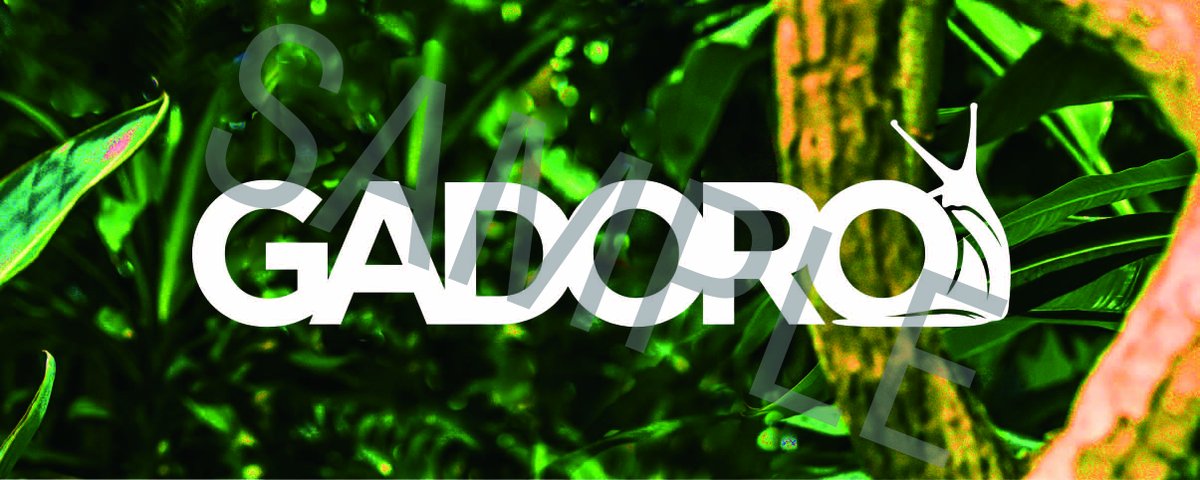 gadoro takanabe アルバム 直筆サイン入り gadoro takanabe アルバム