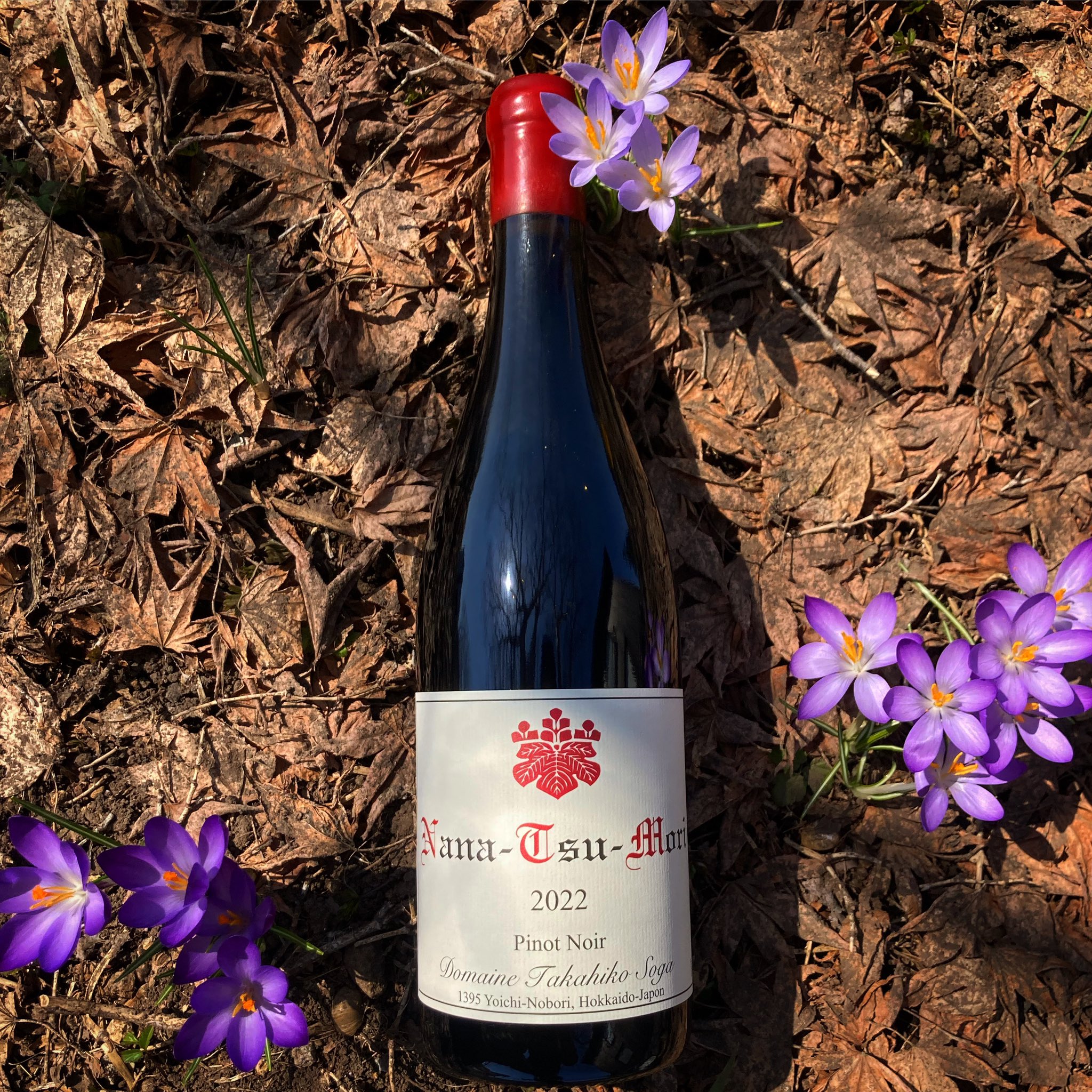 ドメーヌ タカヒコ ナナツモリ2022、ブランドノワール2021 2本セット