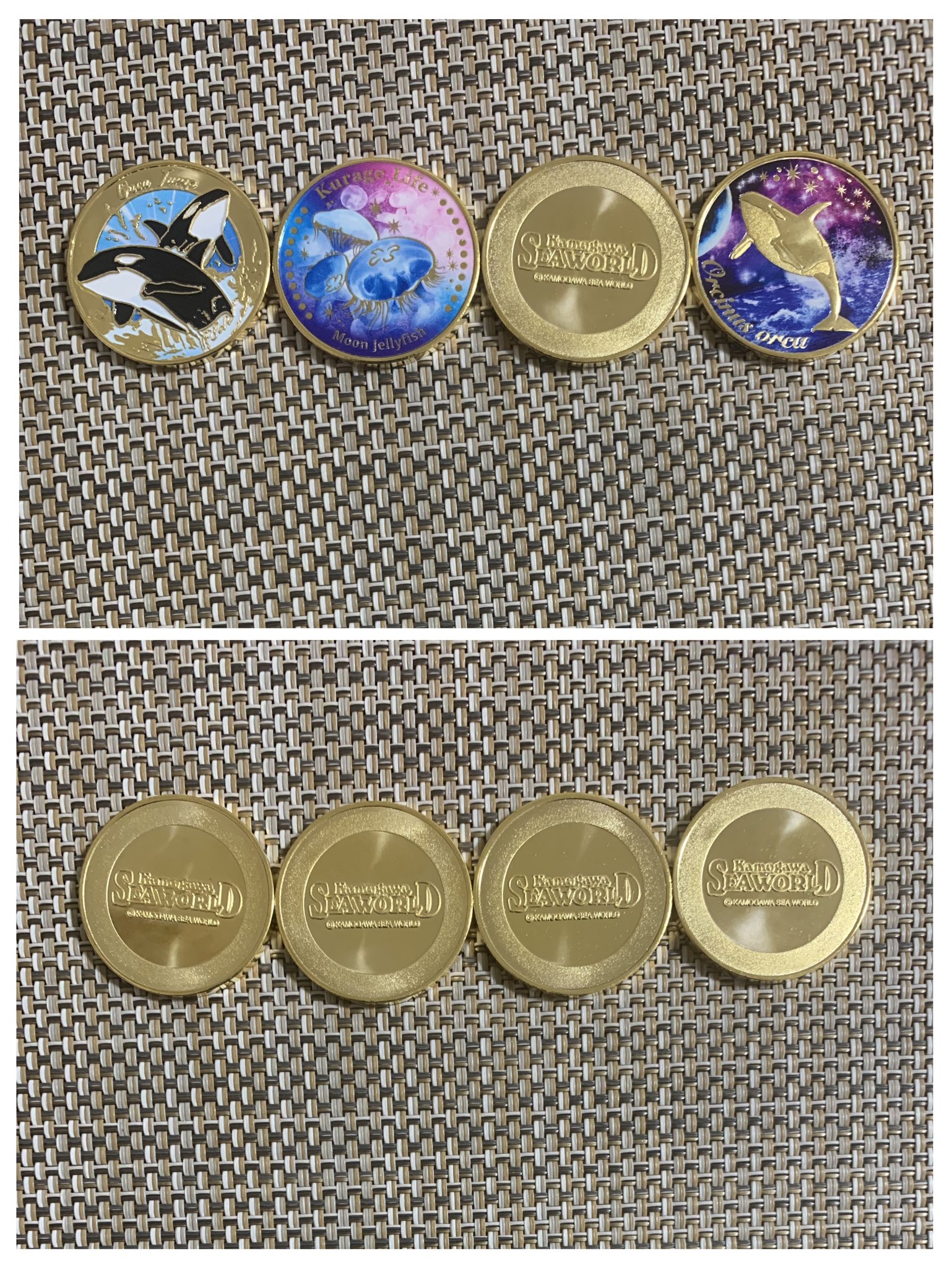 鴨川シーワールド☆クマノミ☆記念メダル☆茶平工業 鴨川シーワールド☆