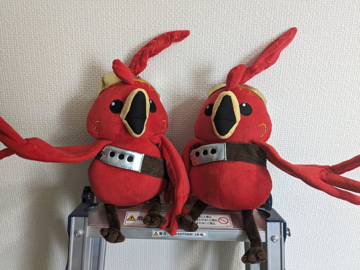 コッコルピア ぬいぐるみ 非売品 コッコルピアぬいぐるみ非売品