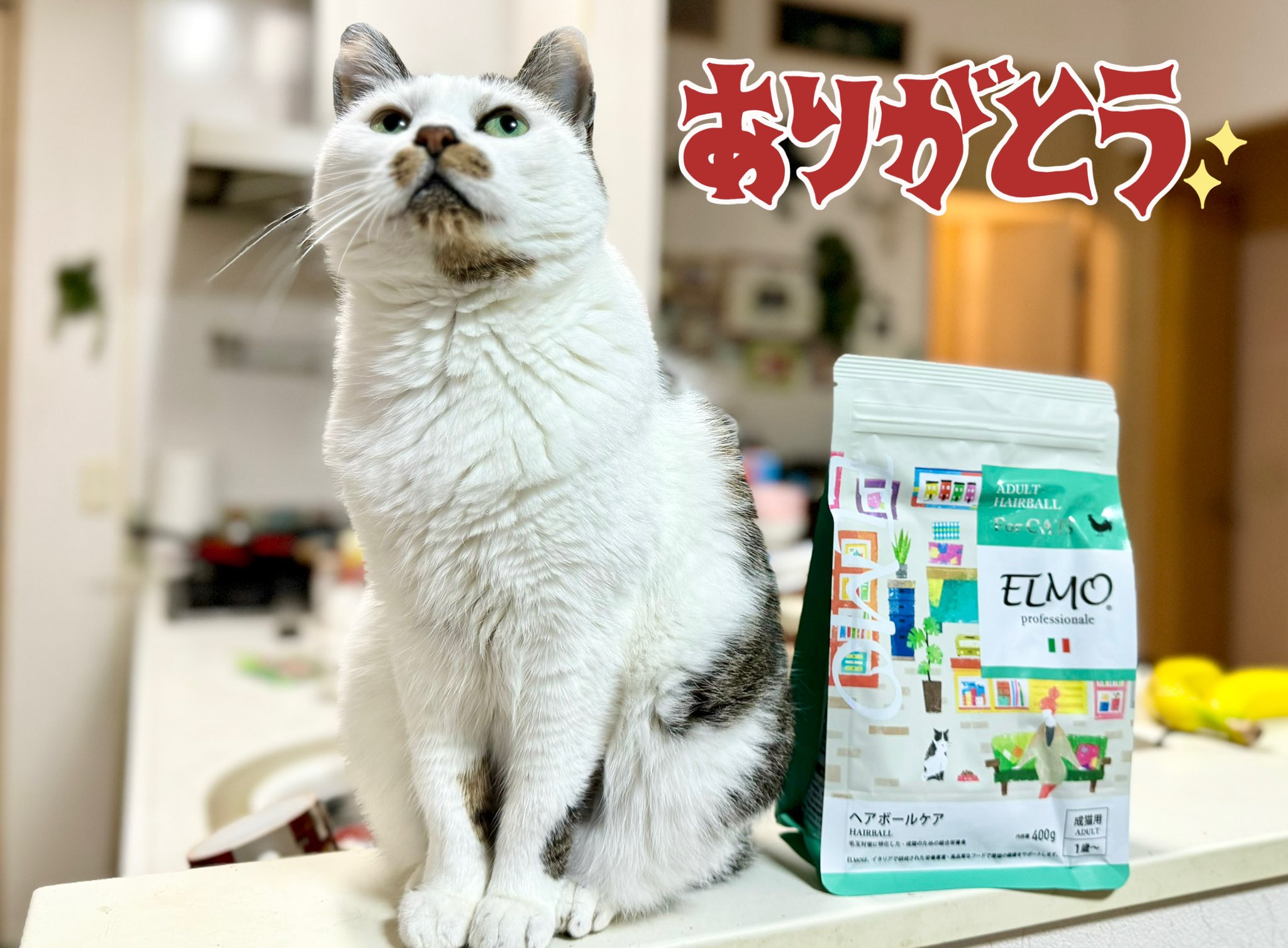 ELMO 室内猫用ドライフード 17.2キロ ELMO 室内用キャットフード成猫3