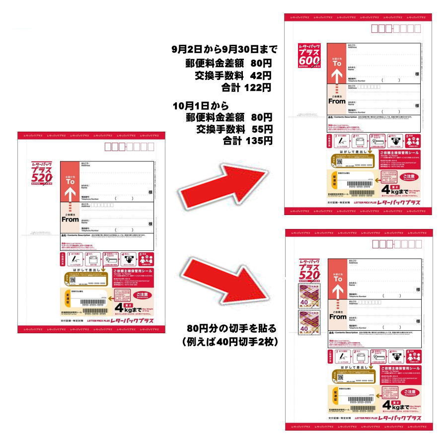 レターパックプラス 60枚 送料込 ［枚数量変更可能］ レターパック