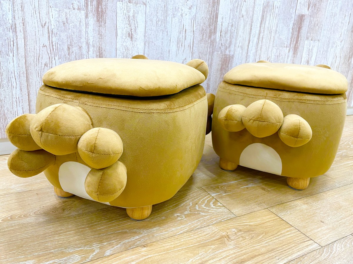 ポケモン ビッパ スツール オスのすがた 画像ギャラリー No.008