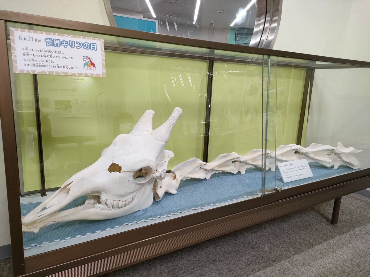 正門入ってすぐのウォッチングセンターにある「としょコーナー」に