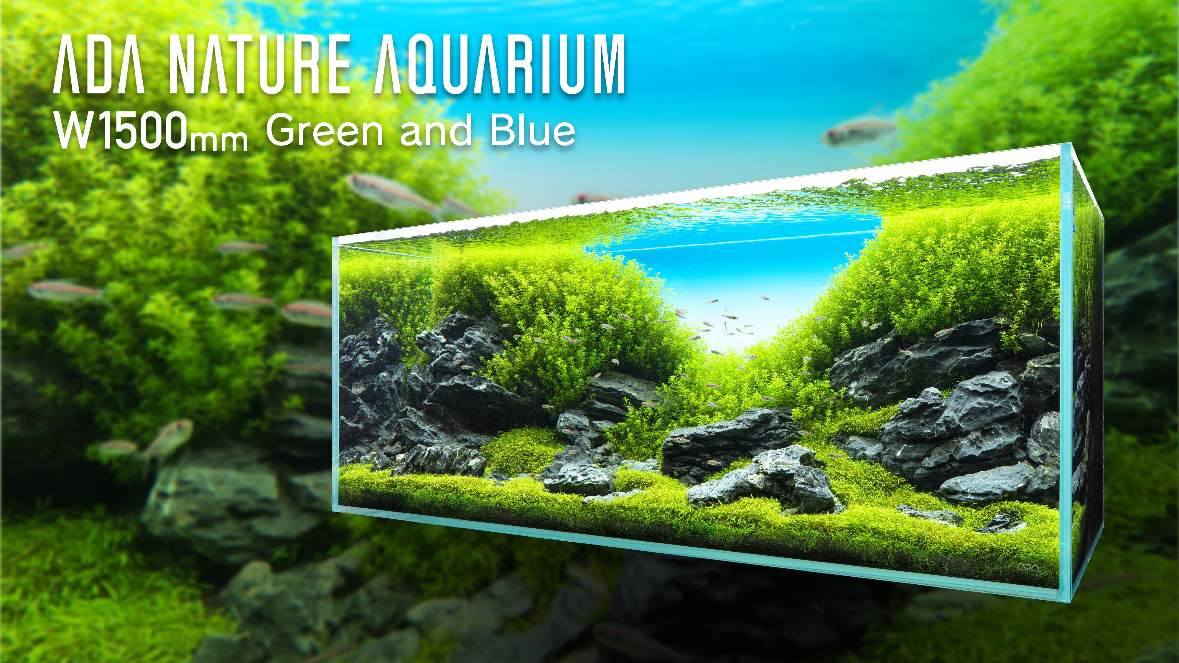 ADA アクアデザインアマノ ビートルカウンター 旧ロゴ 廃盤品 激レア