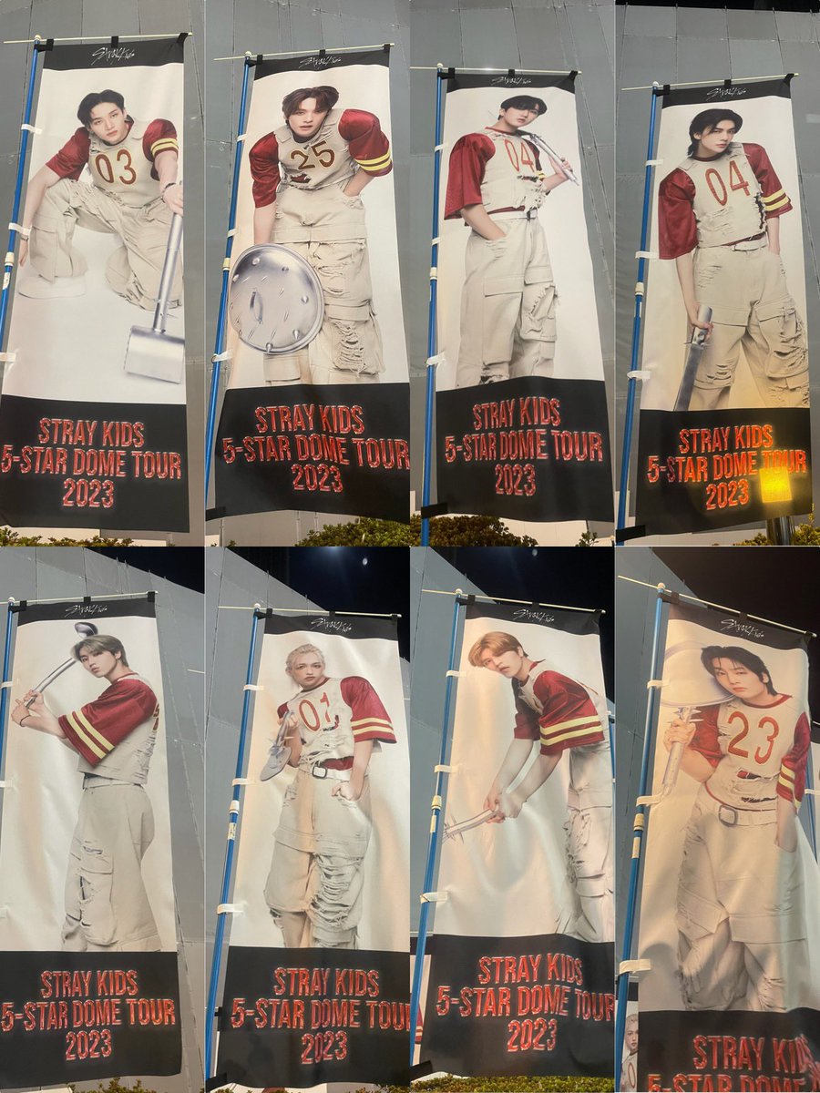 Straykids フィリックス メンバー直筆サイン入り東京ドームソロフラッグ