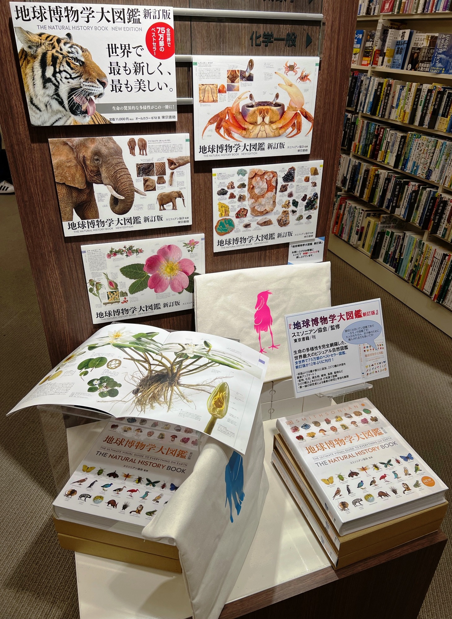 地球博物学大図鑑 新訂版 ブックファースト新宿店 on X: 