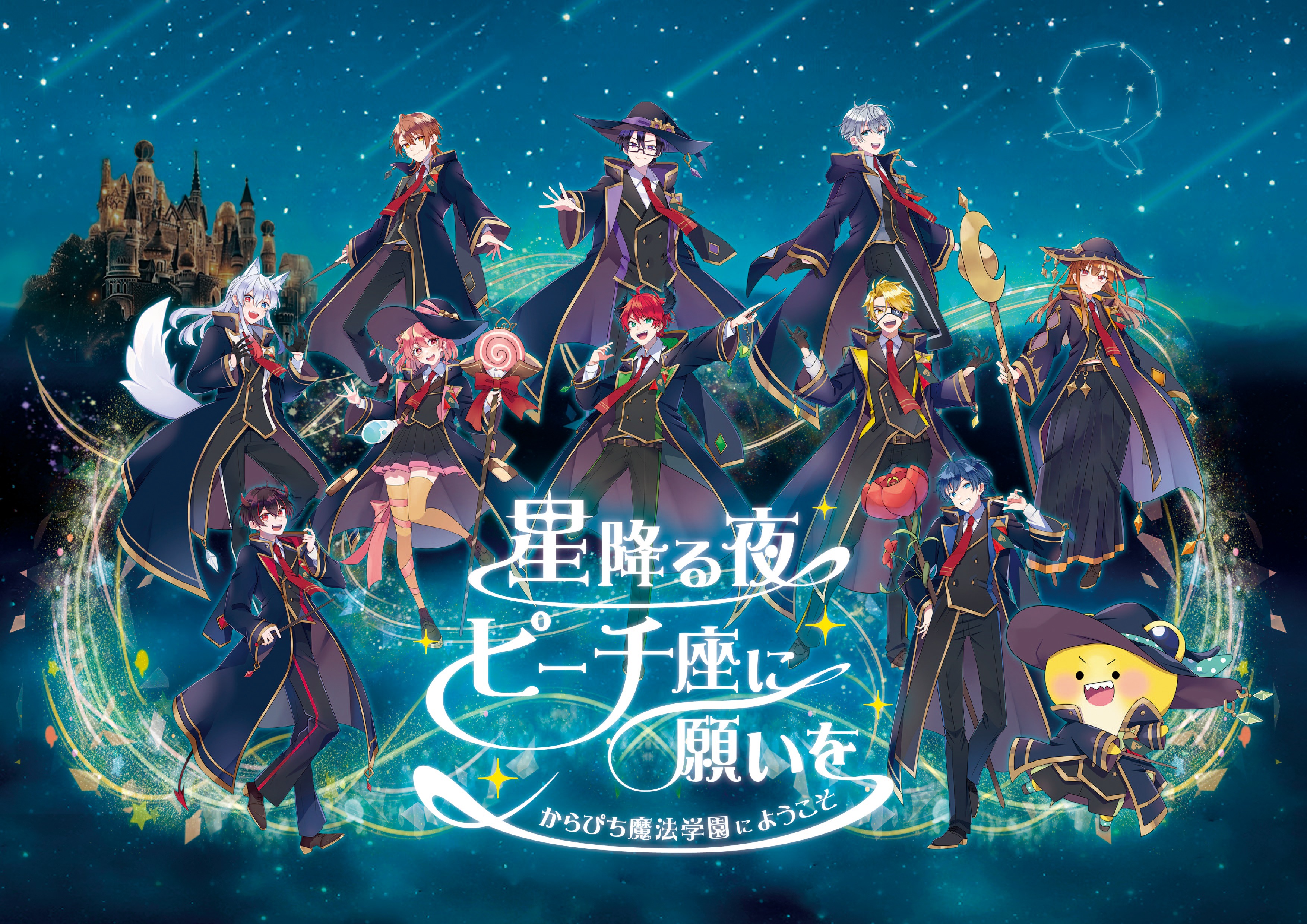 レア?!星降る夜ピーチ座に願いを からぴち魔法学園 パズル 新品