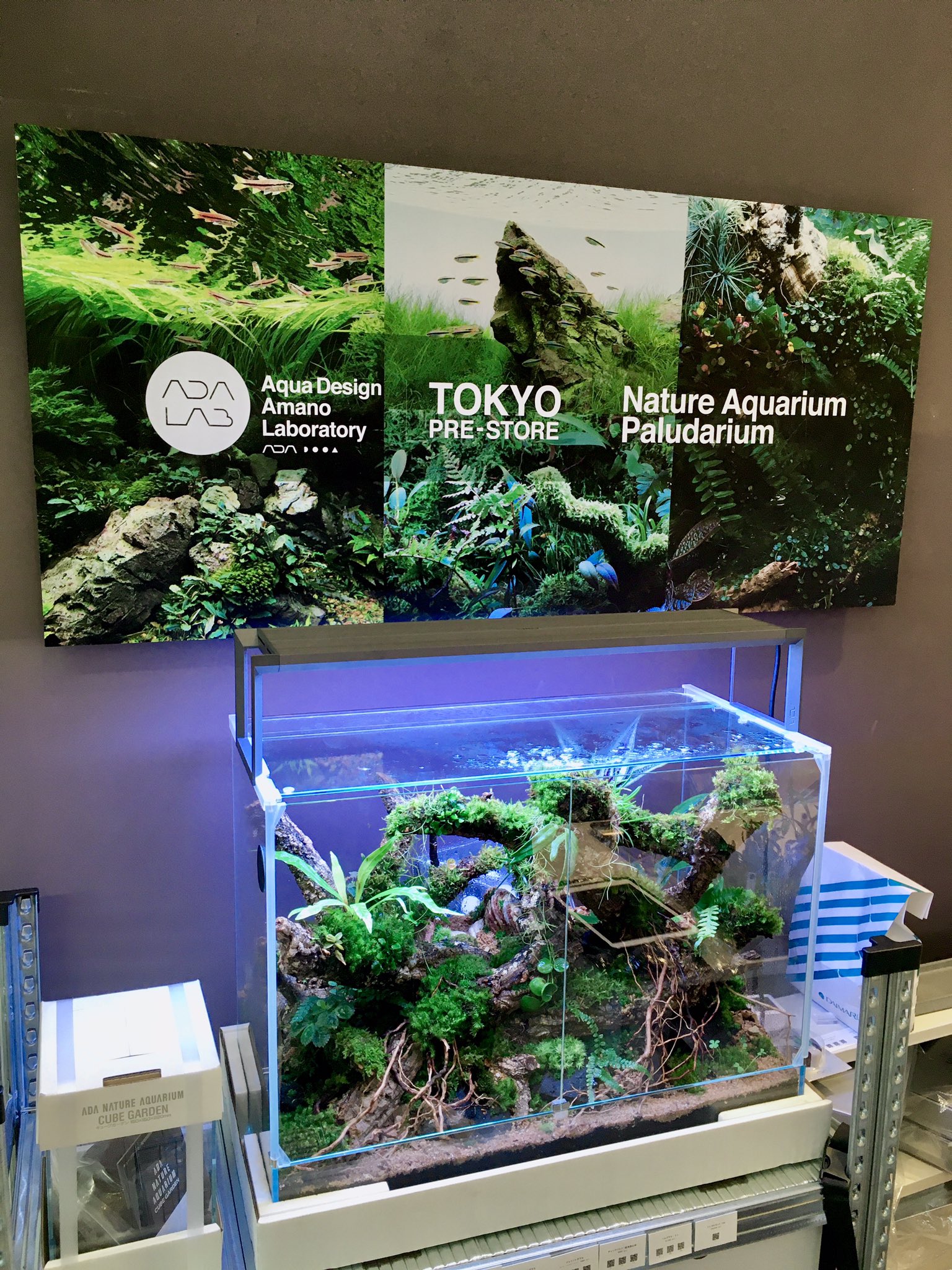 モトモト ADA キューブガーデン30cm ソルスタンドRGB セット モトモト