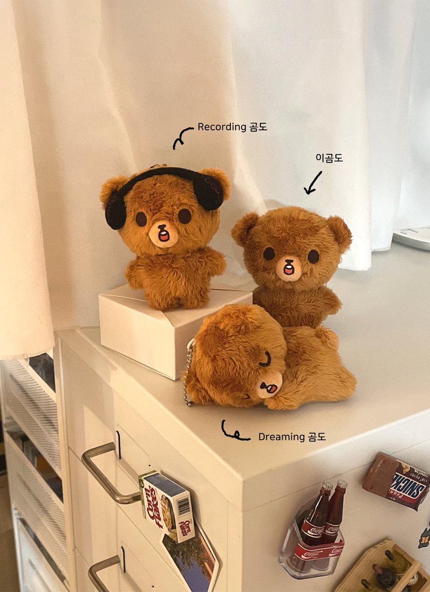 NCT ヘチャン ぬいぐるみ 40cm Gomdo Lee 이곰도 イコムド ✨️ [OPEN