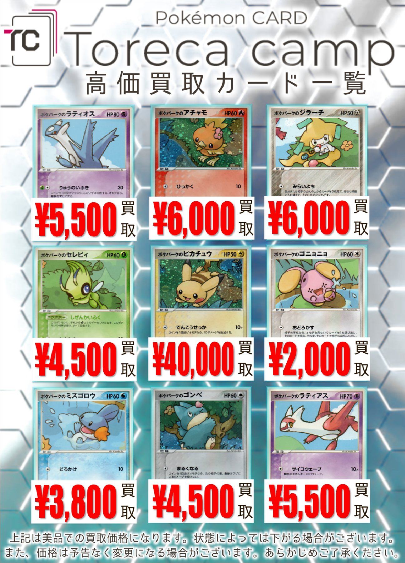 ポケパーク2005 限定ポケモンカード23枚セットプレミアムファイル