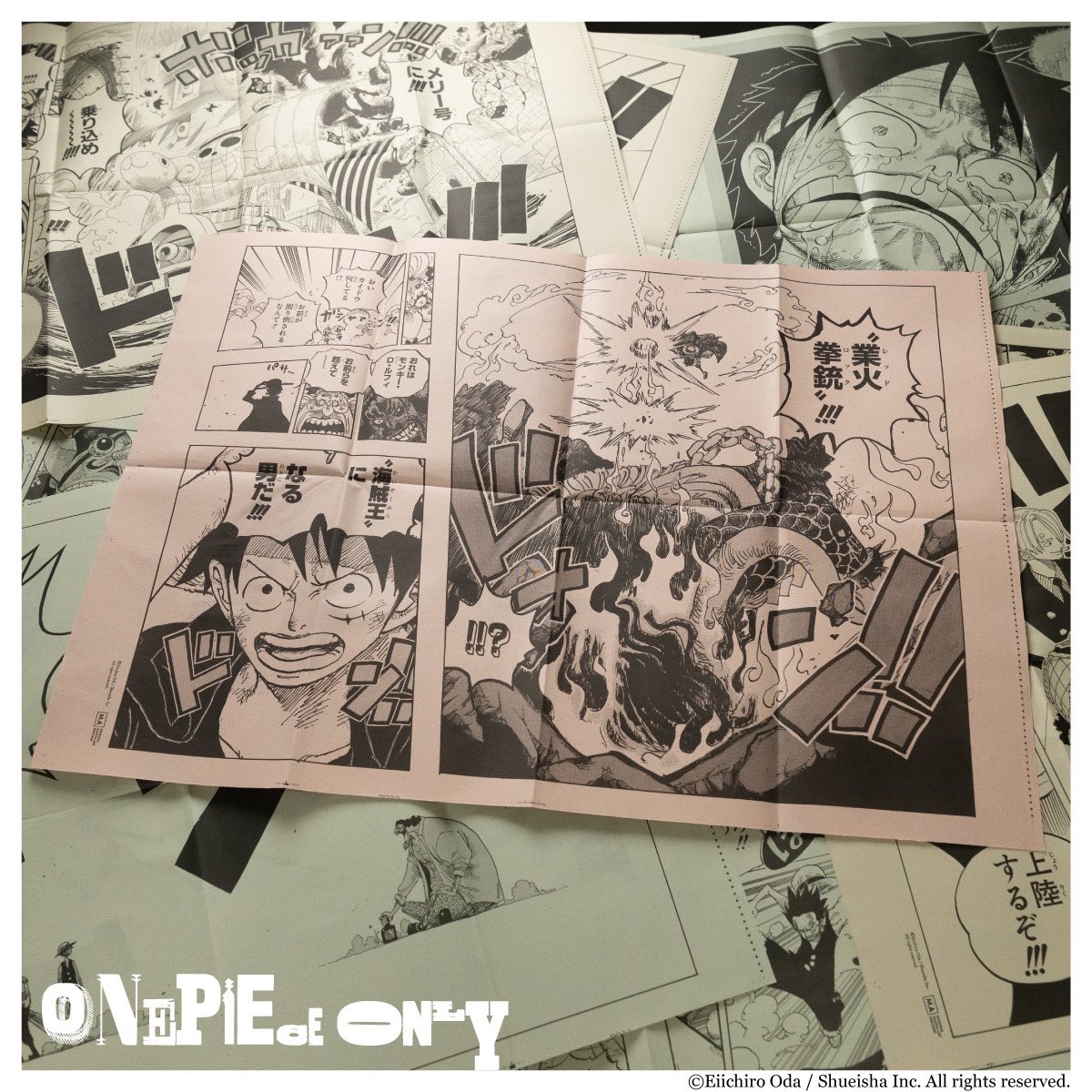 ONE PIECE ONLY展 活版ポスター コンプリートボックス ONE PIECE ONLY