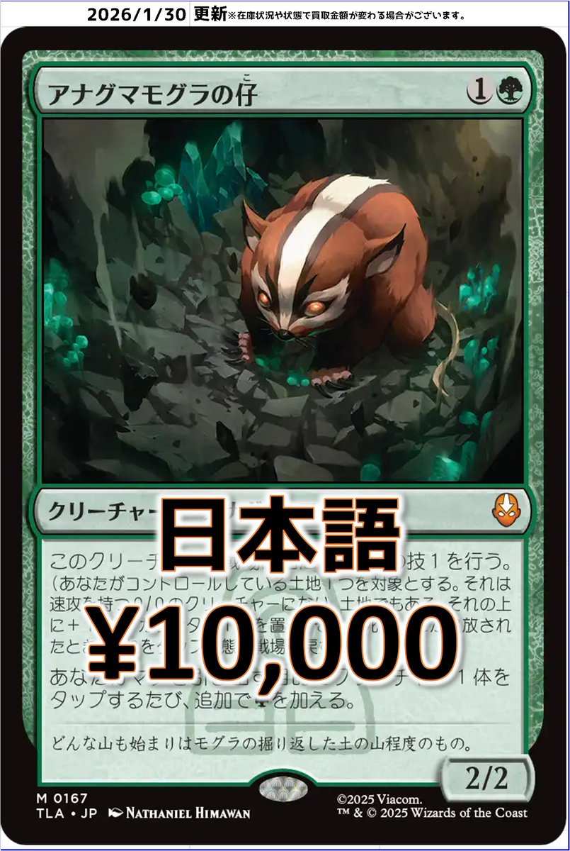 MTG アナグマモグラの仔 日本語 プレリリース FOIL MTG アナグマモグラ