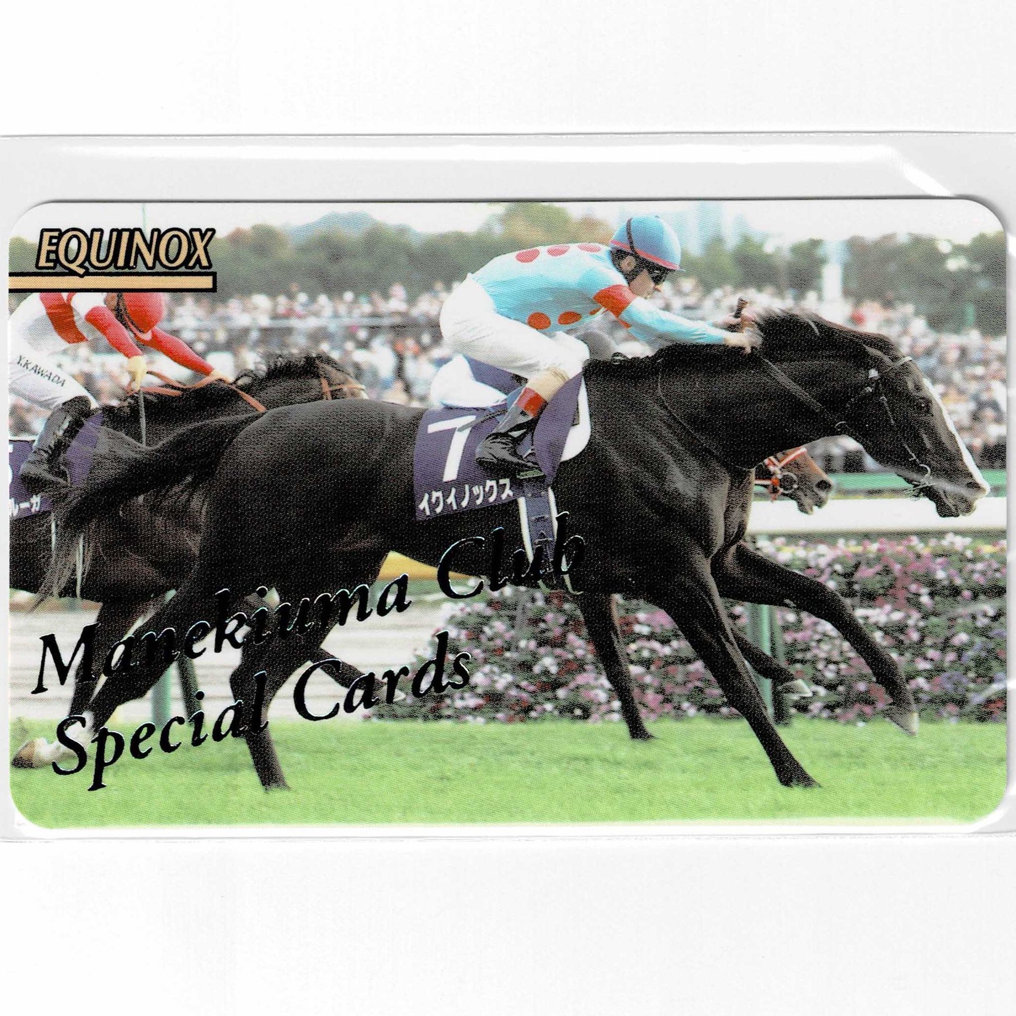 ☆ステイゴールド(No.J-146)☆まねき馬倶楽部レインボーカード