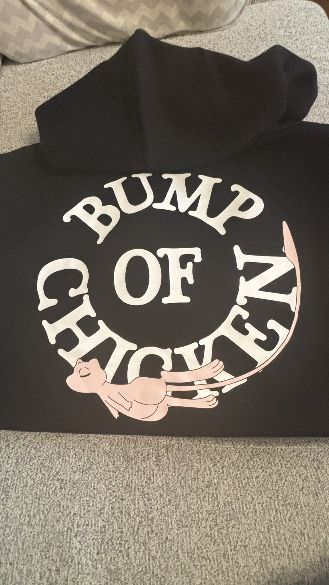 BUMP OF CHICKEN アカシア パーカー Lサイズ Pokémon Pokemon & BUMP