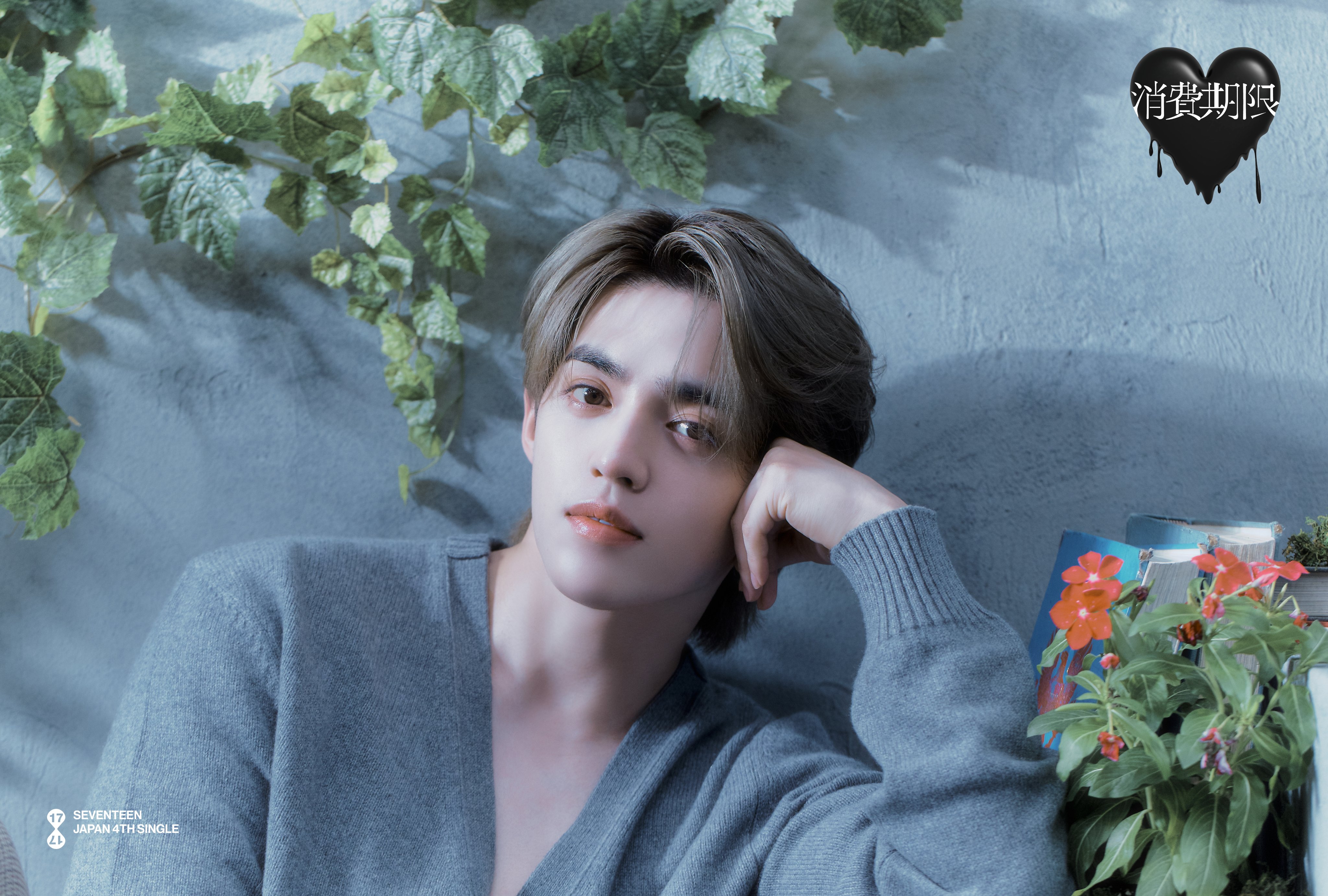 SEVENTEEN 消費期限 生写真 エスクプス SEVENTEEN 消費期限 生写真