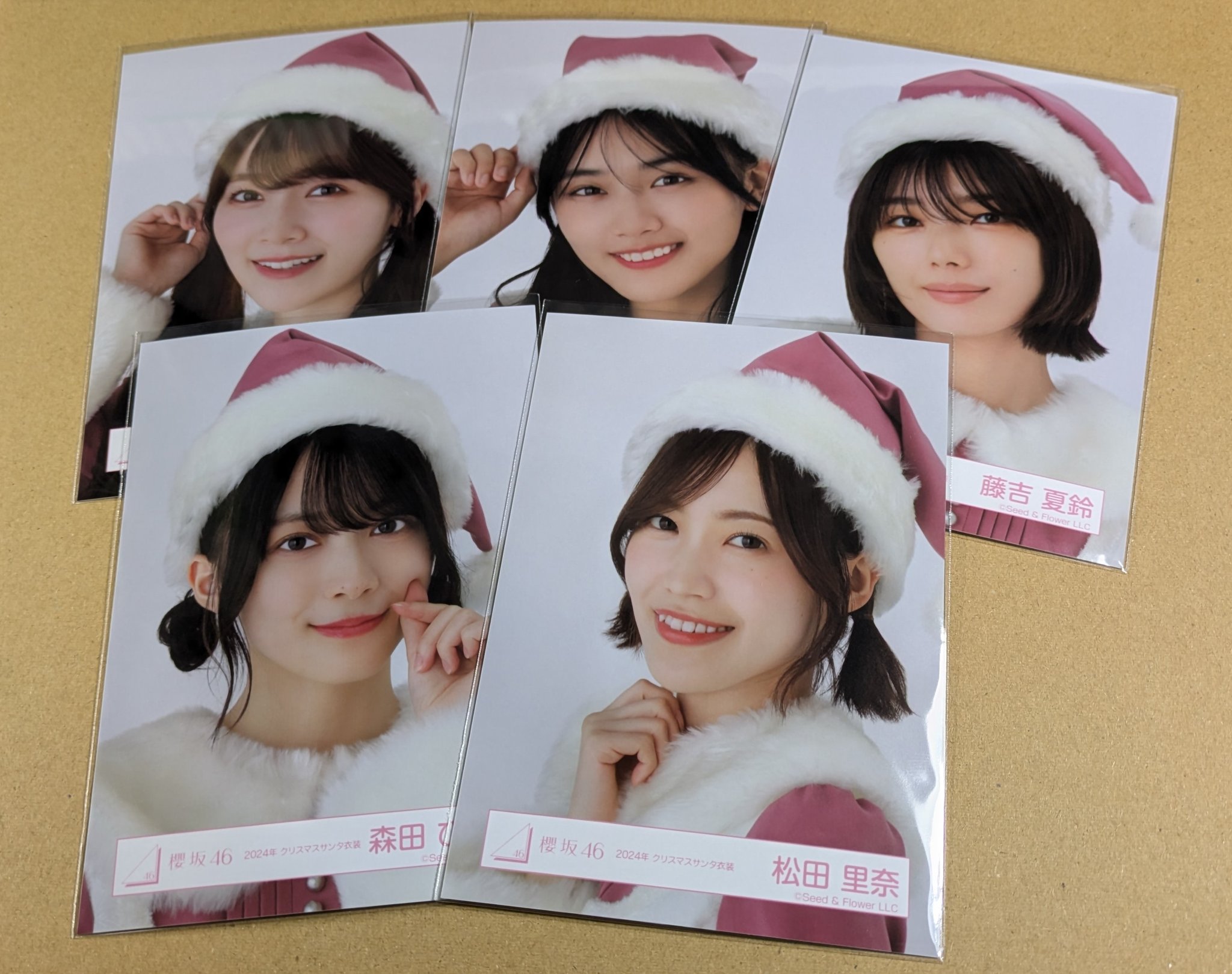 櫻坂46 松田里奈 サンタ衣装 直筆サイン 櫻坂46 生写真 松田里奈 2024