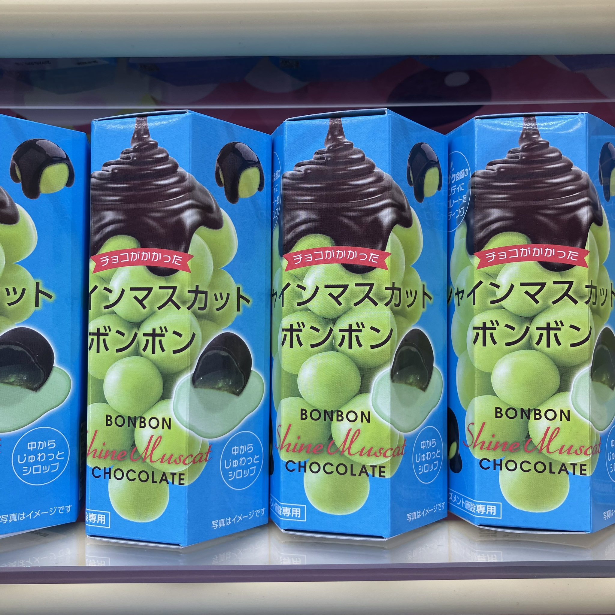 シャインマスカットボンボン 8袋 シャインマスカットボンボン 8粒 x 6