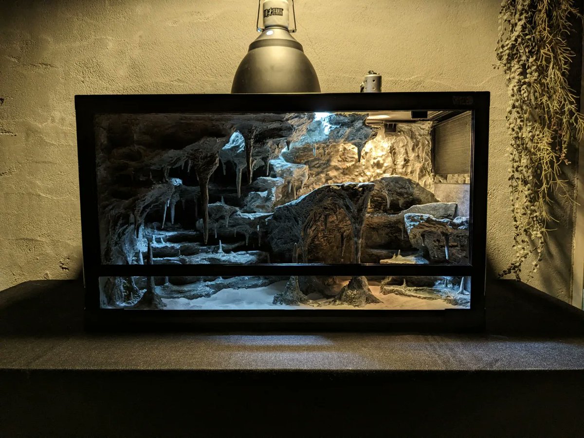 ともえ屋【爬虫類用品制作】 (@Iy0aAILRggs1XgM) / Posts / X