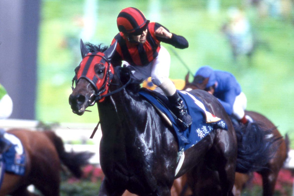 1999年のJRA賞最優秀3歳牡馬に輝いた #エイシンプレストン が2月2日に