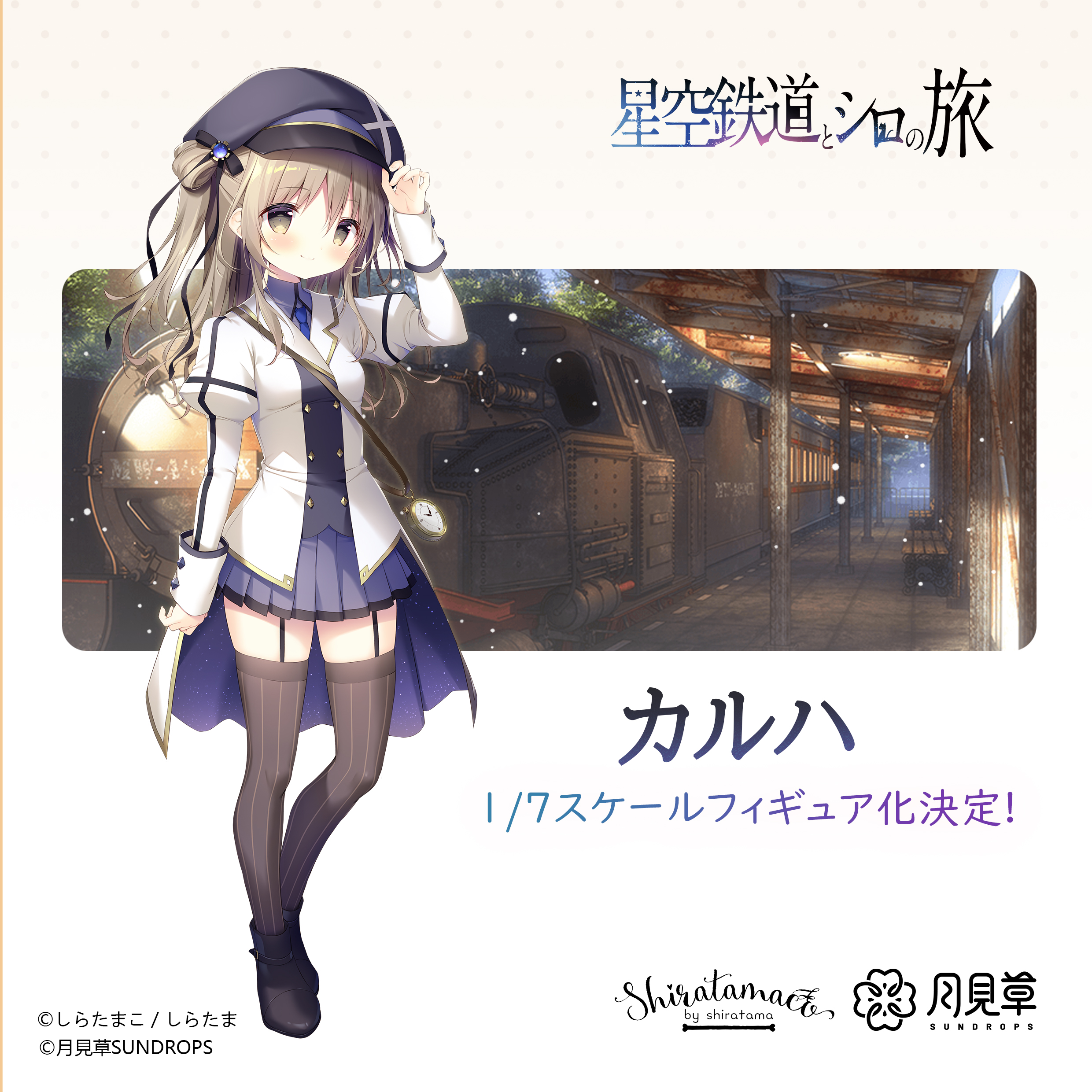 しらたまこ 星空鉄道とシロの旅 板上サイン入り 額装付き ミニアート