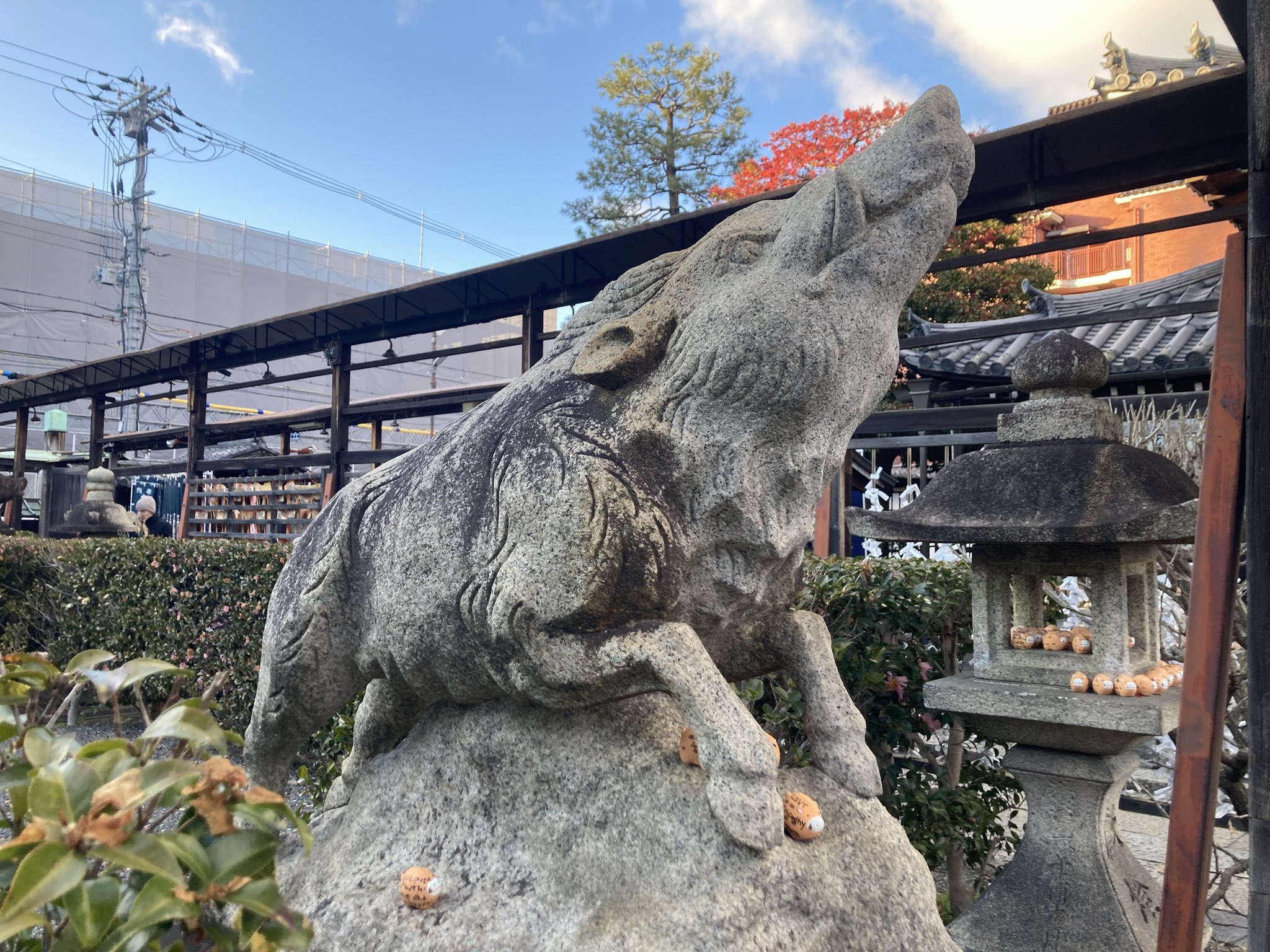 呪物 インドネシア ボルネオ島 狛犬 アソ ドラゴンドッグ 【公式通販】