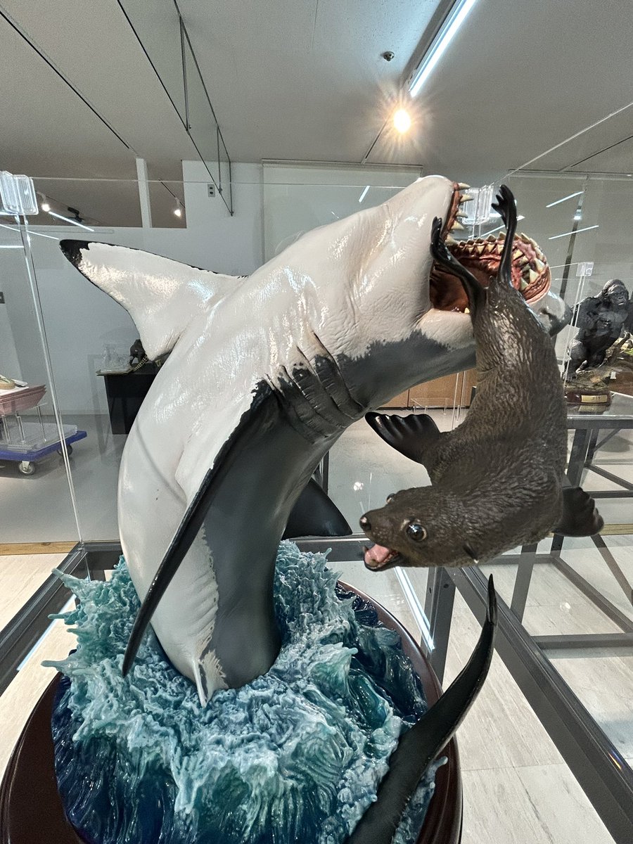 海洋堂】NATURE TALES ホホジロザメ☆松村しのぶ 海洋堂】NATURE TALES