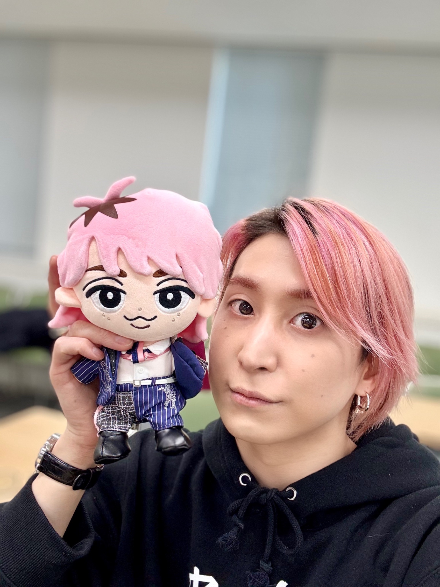 すのちる ぶら下がらないシリーズ BIG 9体 すのちる ぶら下がらない