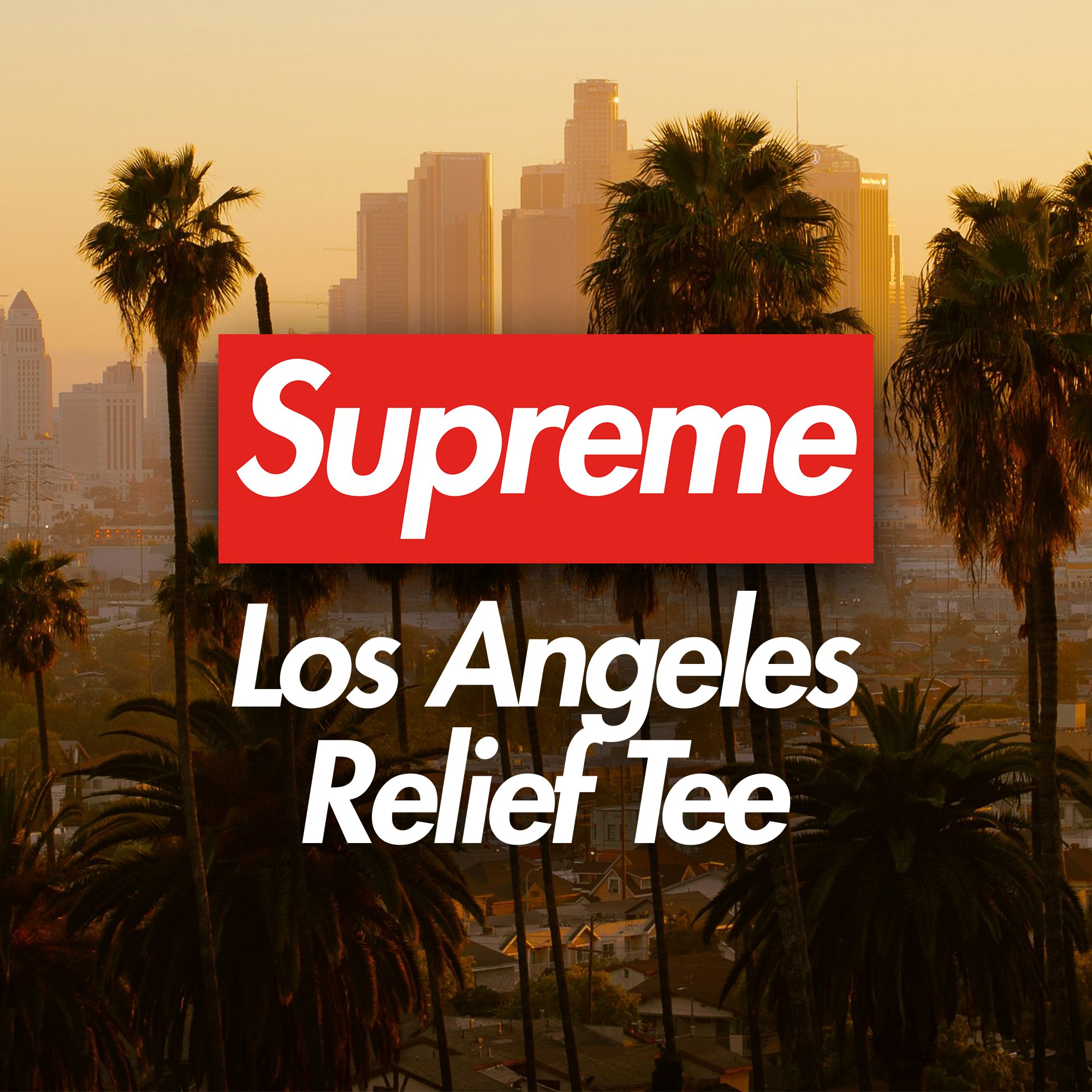 ミュージシャン Supreme Los Angeles Fire Relief Box XL