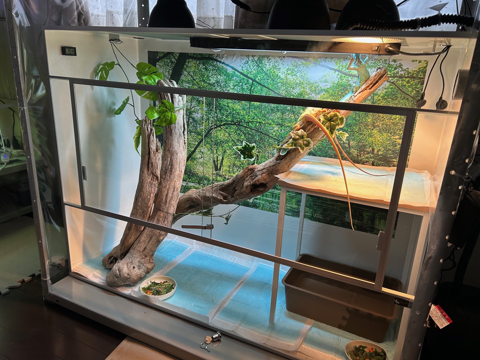 maru様】龍匠ケージ オリジナル飼育ケージ 龍匠ケージ