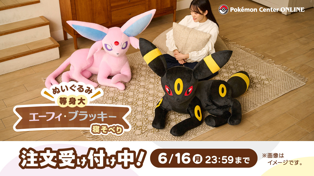 ブラッキー 等身大 ぬいぐるみ ブラッキー 等身大ぬいぐるみ