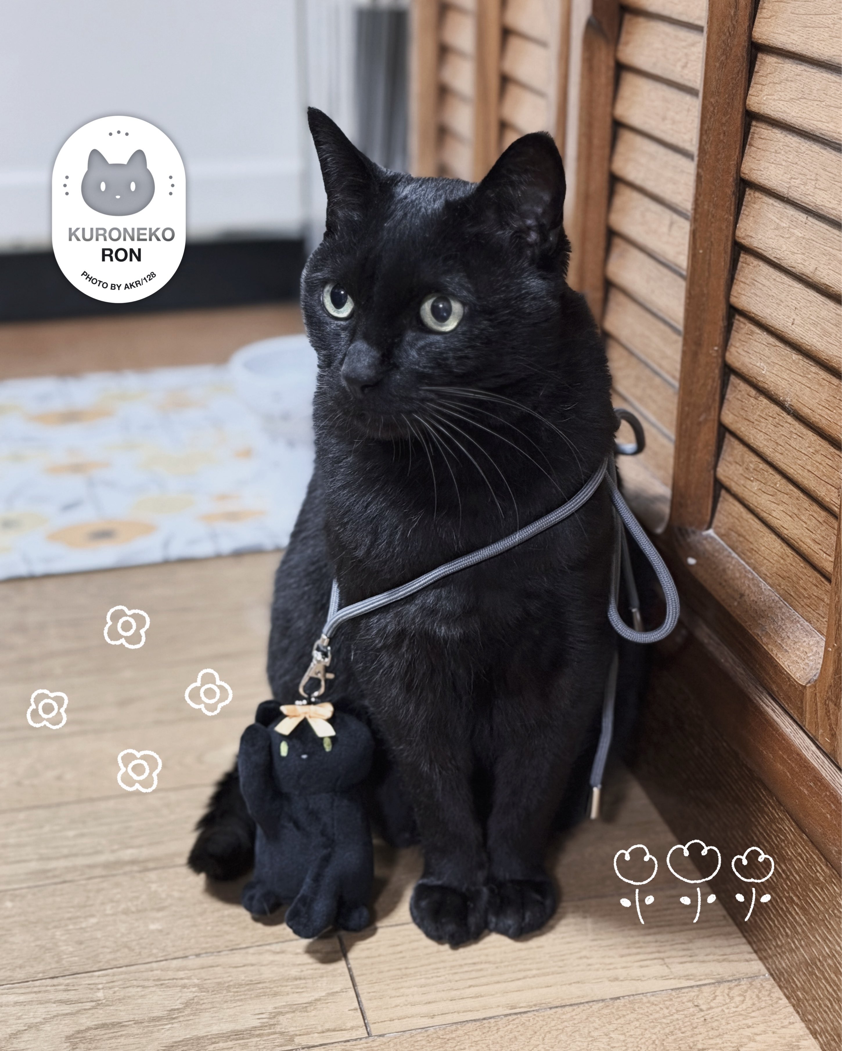 猫 毛づくろい 猫 毛づくろい カード検索 ｜ Z/X - Zillions of enemy