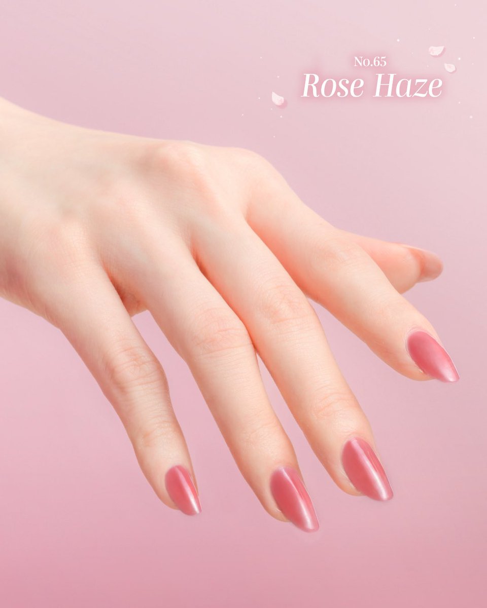 🍃𝗦𝗔𝗞𝗨𝗥𝗔 𝗠𝗢𝗠𝗘𝗡𝗧𝗦🌸 桜コレクションはPLAZA、ロフト